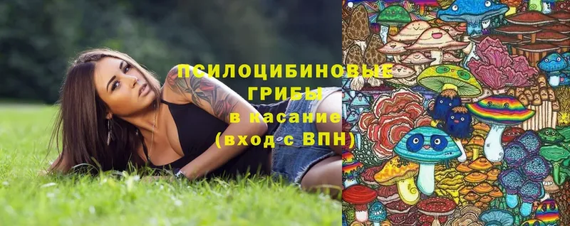 Галлюциногенные грибы Cubensis  дарк нет официальный сайт  omg ССЫЛКА  Кубинка  дарнет шоп 